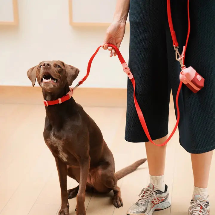 Fritz Hundkoppel – Det smarta kopplet för alla väder och alla hundpersonligheter