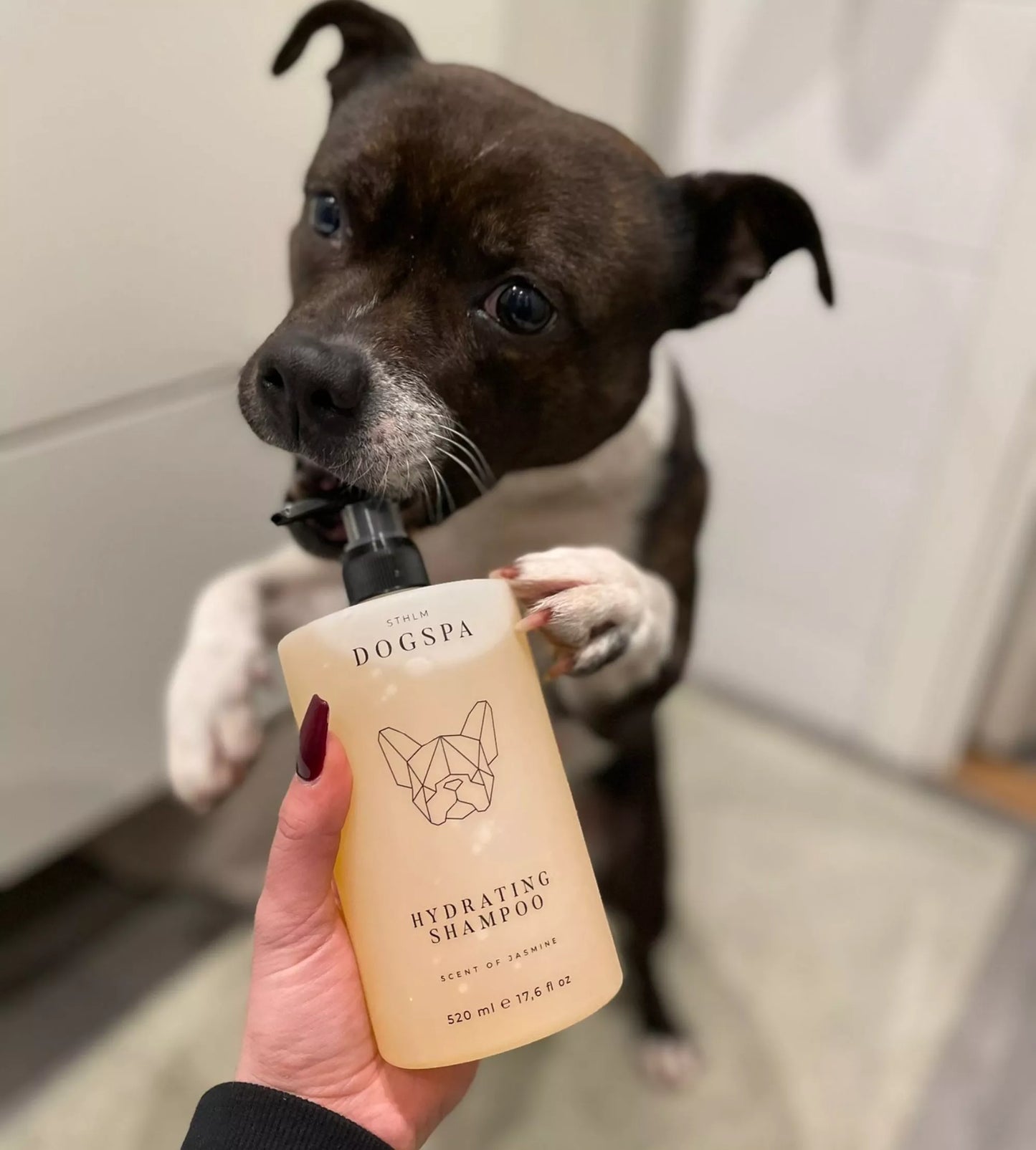 STHLM DOGSPA Hydrating Shampoo 520ml