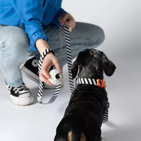 Dog Collar Walk Kit + Poop Bag Holder från det populära märket Barkalot