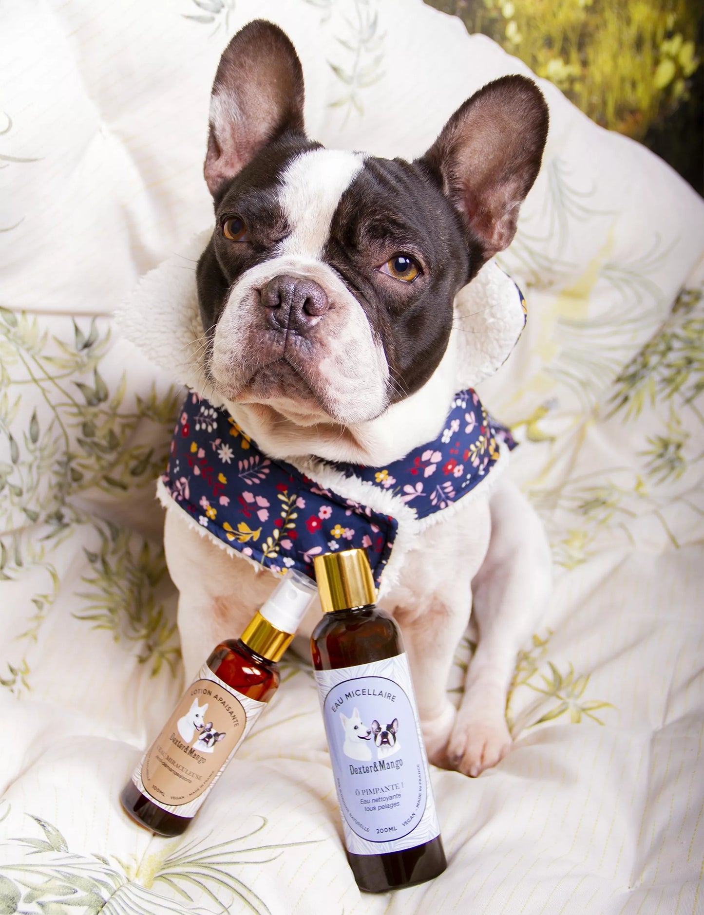 Miraculous Water – Naturlig Anti‑klåda Lotion för Hundar med Känslig Hud