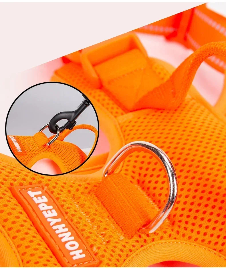 Hundsele med reflex - I reflekterande nylon - Happypaw