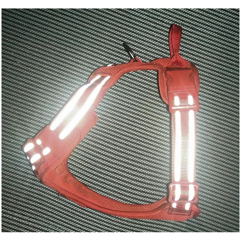 Hundsele med reflex - I reflekterande nylon - Happypaw